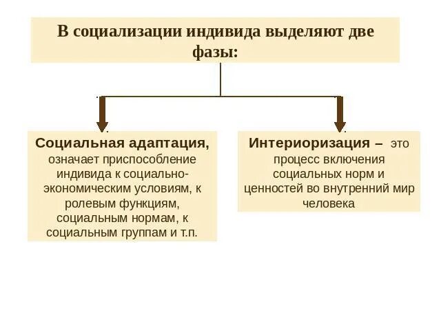 Две фазы социализации. Социализация и социальная адаптация. Процесс социализации индивида. Социальная адаптация и социализация различия.