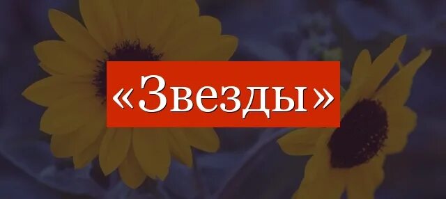 Слово звезда есть. Звезды разбор. Слова звезда написано.