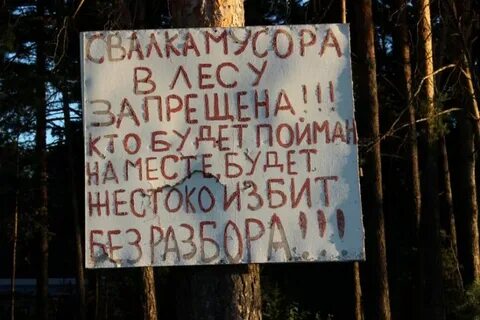 Лес шутки