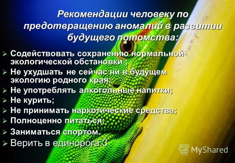 перья вокруг. маховые перья у птиц. строение перьевого покрова птиц. что означает перо с птицами. строение голубя спереди.