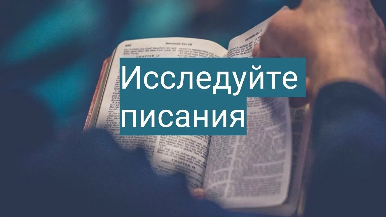 Исследуйте писания ибо они свидетельствуют. Исследуйте писания ибо вы думаете чрез них иметь жизнь вечную а они. Исследуйте писание ибо вы. Исследуйте писание ибо вы. Исследуйте писания.