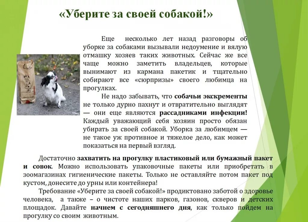 За собаками нужно убирать. Убирайте за собаками. Объявление убирать за собаками. Убирать за своими питомцами объявление. Объявление об уборке за собаками.