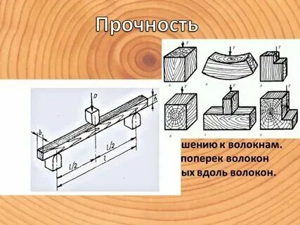 Женщины у которых поперек