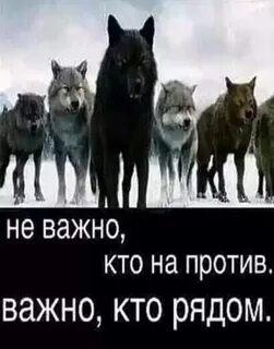 Тот кто напротив 6 букв
