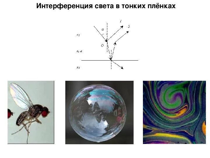 Интерференция света цвета тонких пленок. Интерференция света в тонких пленках рисунок. Интерференция в тонких пленках схема. Интерференция в тонких пленках в природе. Луч света в мыльной пленке