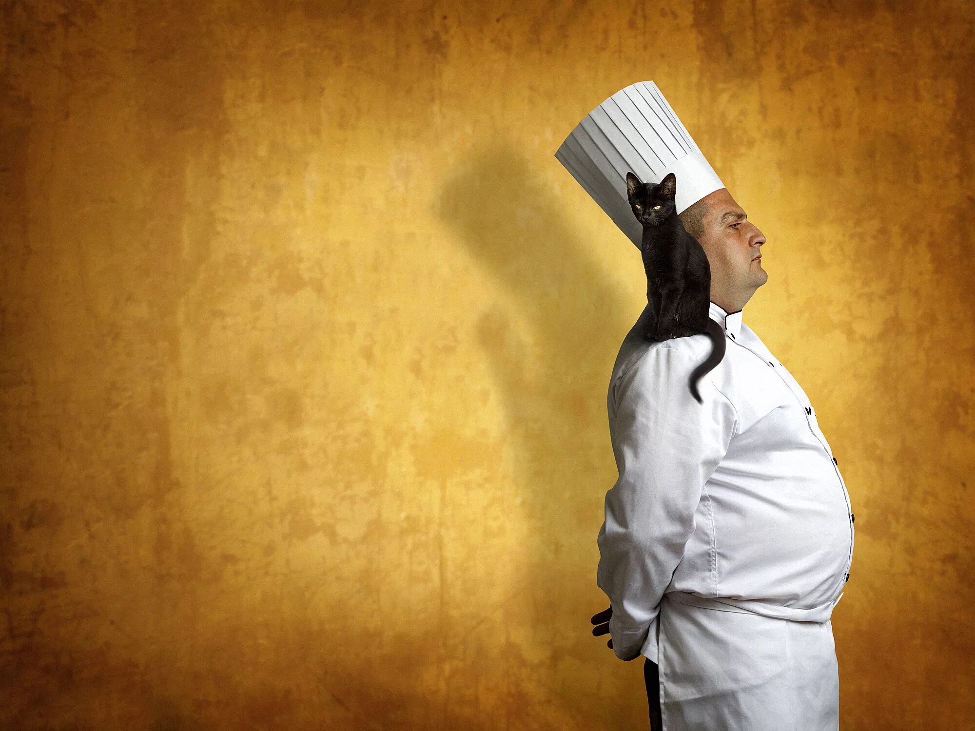 ищем шеф повара. креативный повар. повара. скульптура повар с продуктами. чокнутый повар.