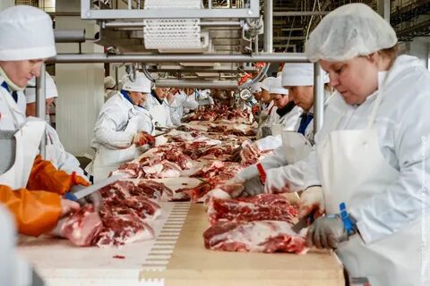 Мясная отрасль пищевой промышленности