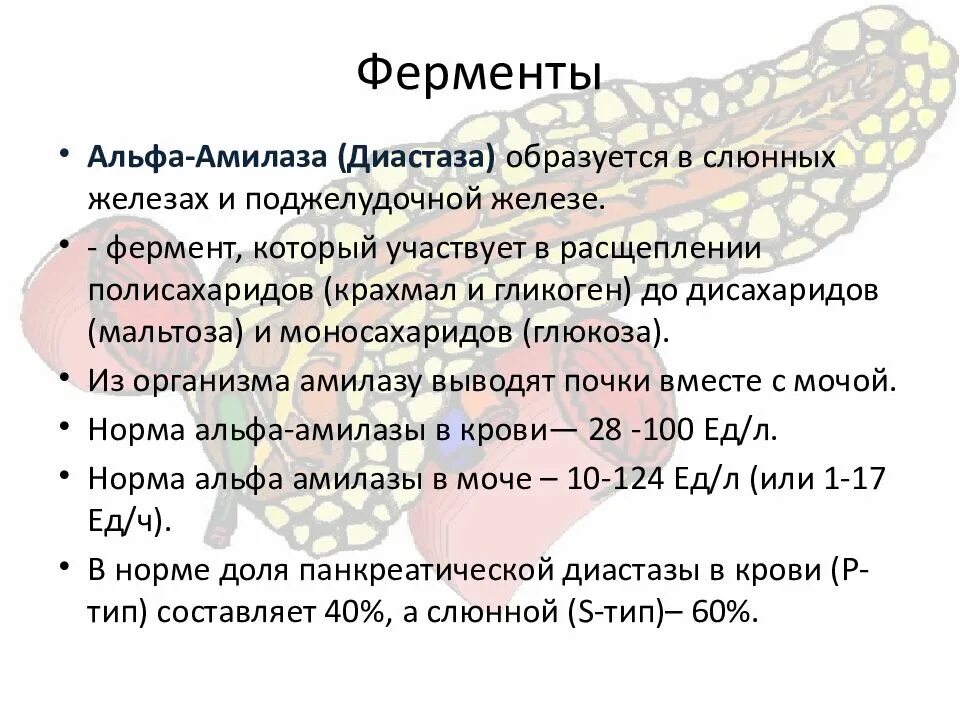 Амилаза повышена причины у мужчин. Норма Альфа амилазы в крови. Кровь Альфа амилаза норма в крови у женщин. Альфа амилаза биохимия крови норма. Альфа-амилаза в моче (диастаза) норма.