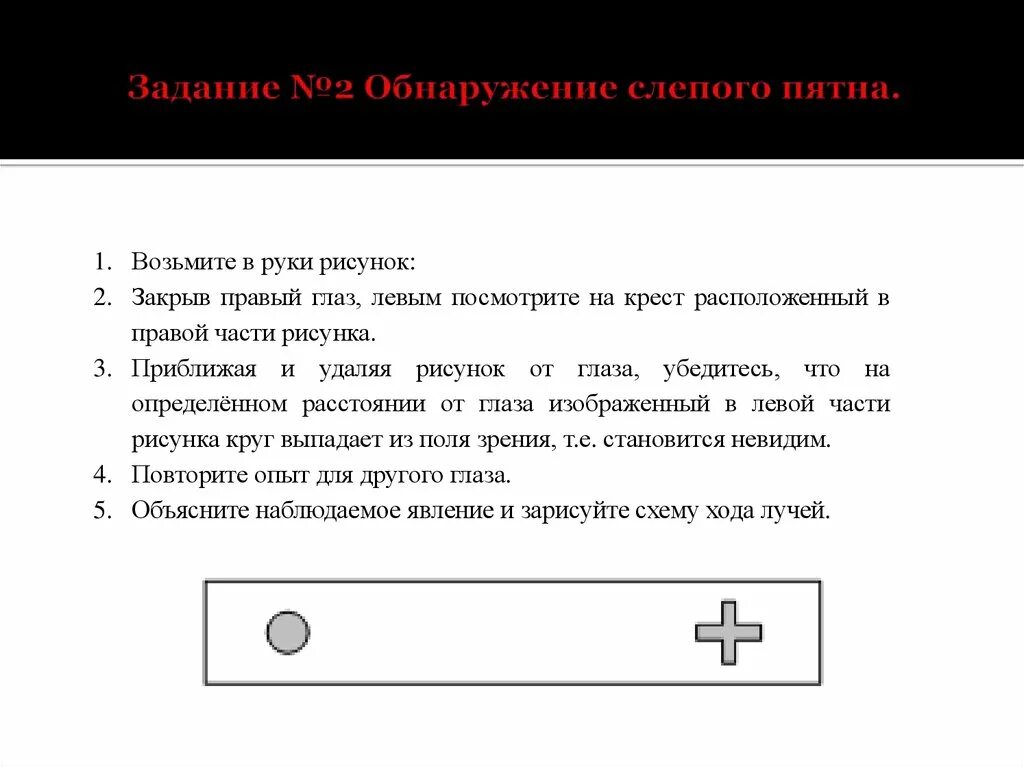 Обнаружение слепого пятна практическая работа 8. Обнаружение слепого пятна опыт Мариотта. Обнаружение слепого пятна опыт Мариотта 8 класс. Измерение диаметра слепого пятна.. Слепое пятно опыт.