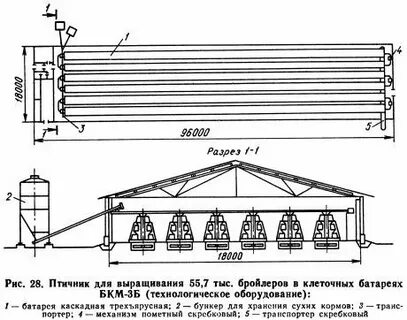 Типовой проект птичника