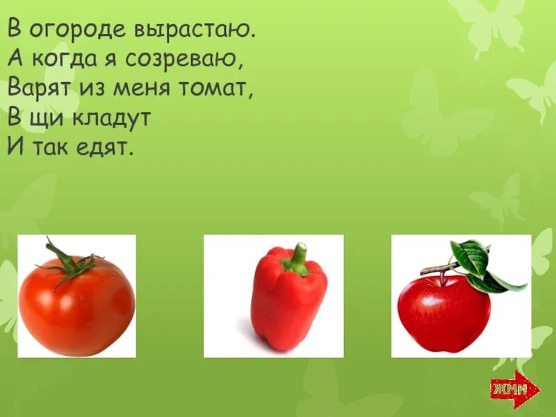 Помидор имя прилагательное подобрать. Что растет в огороде. Я помидор на грядке рос. Что выросло на огороде. Презентация что растет на грядке.