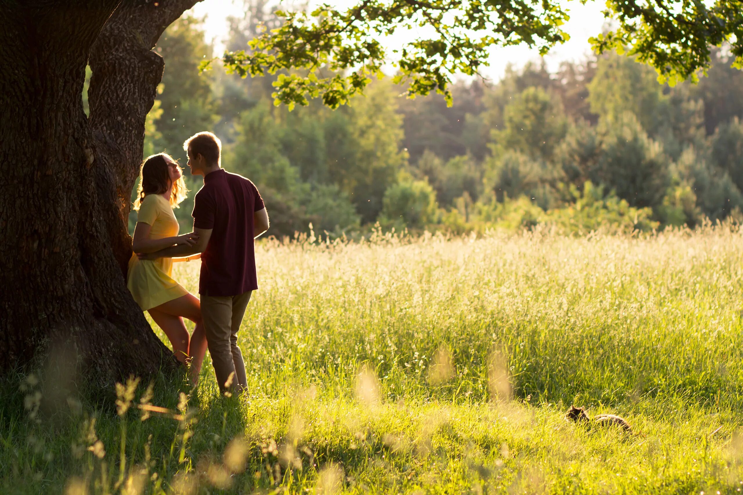 Стефан соел. Романтическая пара в лесу. Страсть в лесу. Дикая девушка в лесу. Ласкаю девушку в лесу.