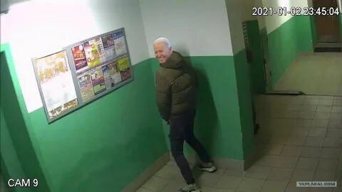 Вафлить