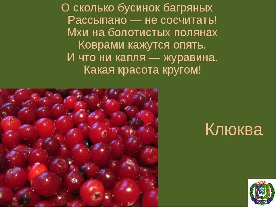 Объясни выражение ожерельем рассыпана клюква. Ожерельем рассыпана клюква. лдноельем рассыпаеа клюква. выражение ожерельем рассыпана клюква. ожерельем рассыпана клюква объяснить выражение.