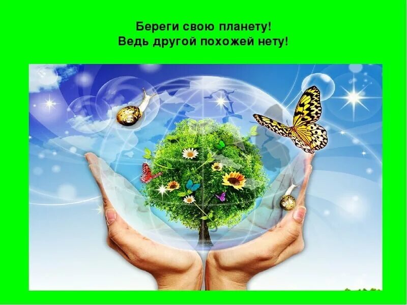 Сохраним самую красивую