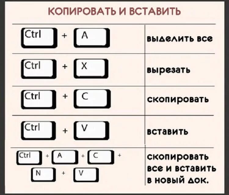 Что такое бинды. Сочетание кнопок для копирования и вставки. Комбинация клавиш для копирования. Копировать и вставить на клавиатуре. Сочетание клавиш для копирования и вставки.