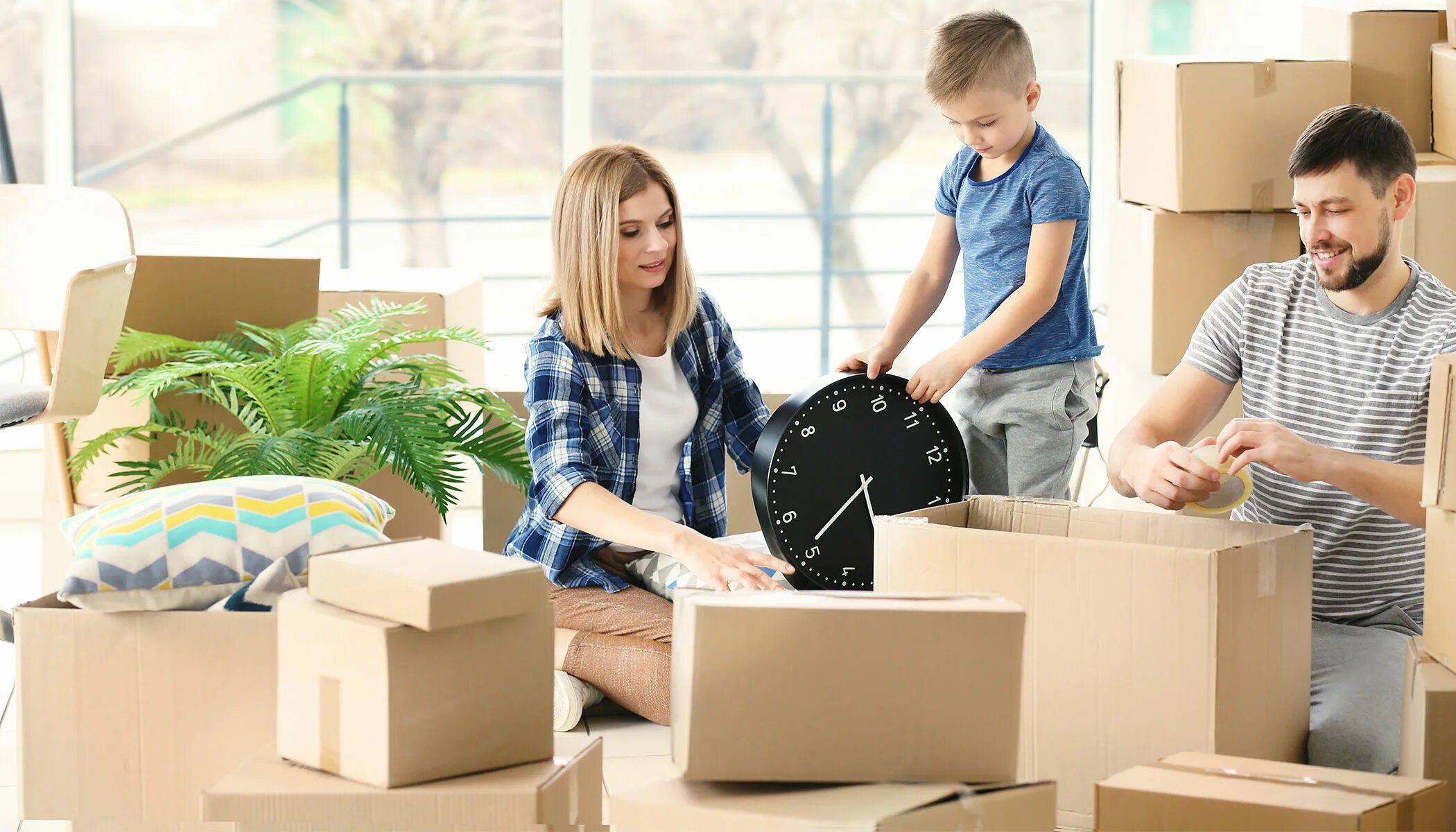 Moving program. Moving program
