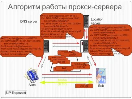 Dns алиса