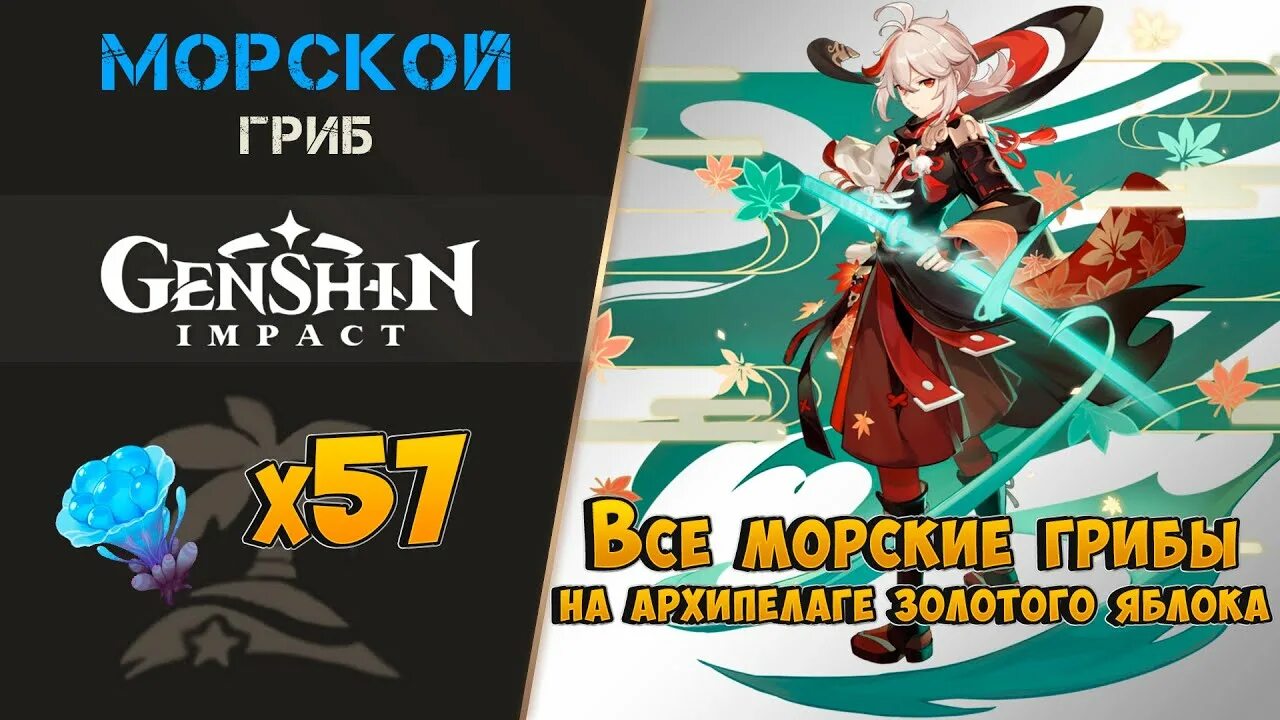 Грибы для кадзухи где. Genshin морской гриб. Морской гриб Геншин Импакт. Морской гриб Геншин фарм. Казуха материалы возвышения.