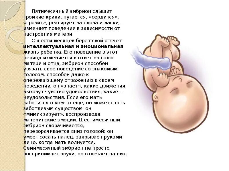 Когда ребенок начинает откликаться на свое имя. Когда ребенок начинает откликаться на свое имя