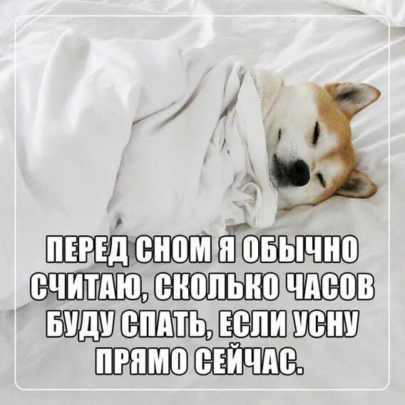 Включи что нибудь чтобы заснуть