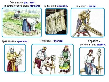 Последовательность льна