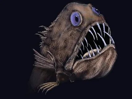 Scary fish
