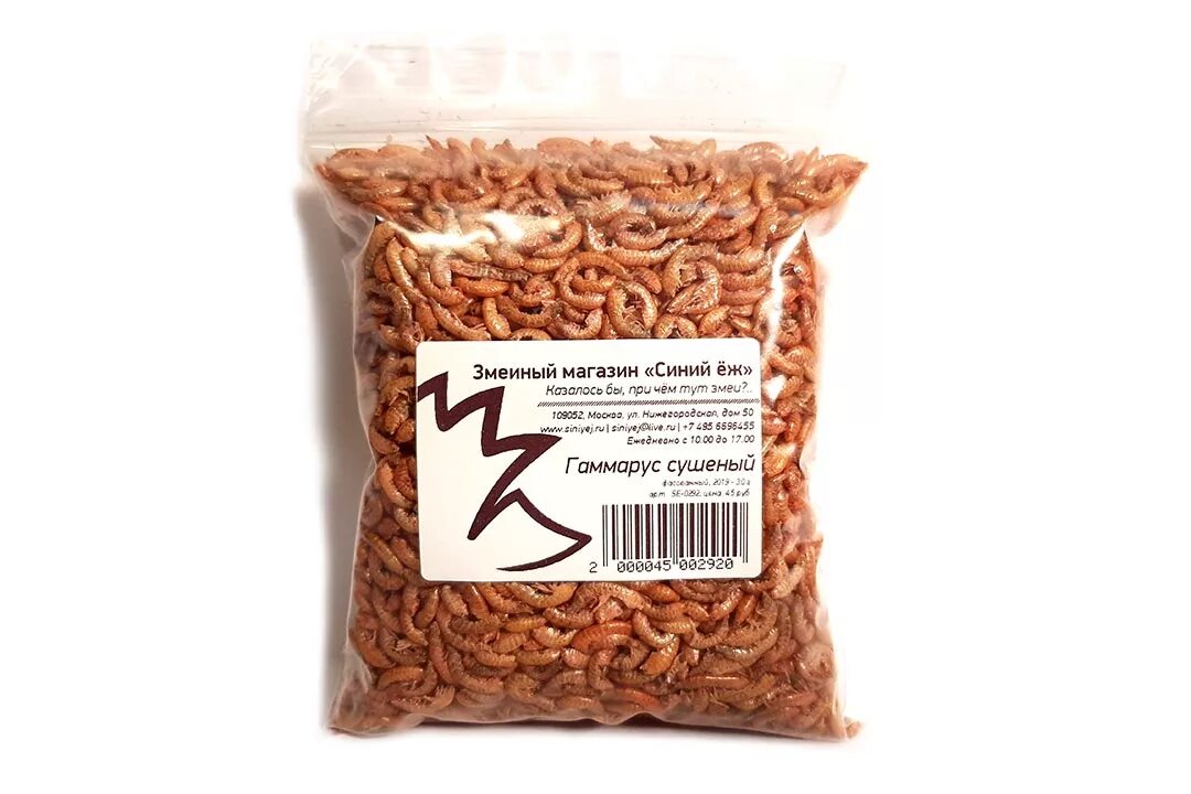 Можно ли кормить гаммарусом