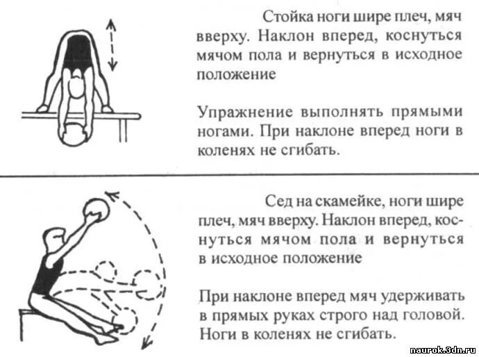 комплексы упражнений ору со скамьей. силовой комплекс упражнений по физре. комплекс упражнений на развитие силы мальчикам. комплекс упражнений со скамейкой. упражнение упор лежа сзади.