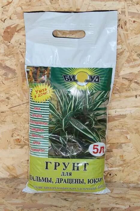 Юкка какую землю