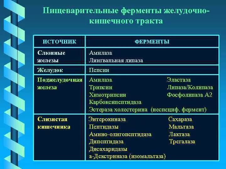 Пищеварительных ферментов Толстого кишечника таблица. Препараты ферментов поджелудочной железы классификация. Ферменты выделяемые в желудочно кишечном тракте. Ферменты поджелудочной железы таблица.