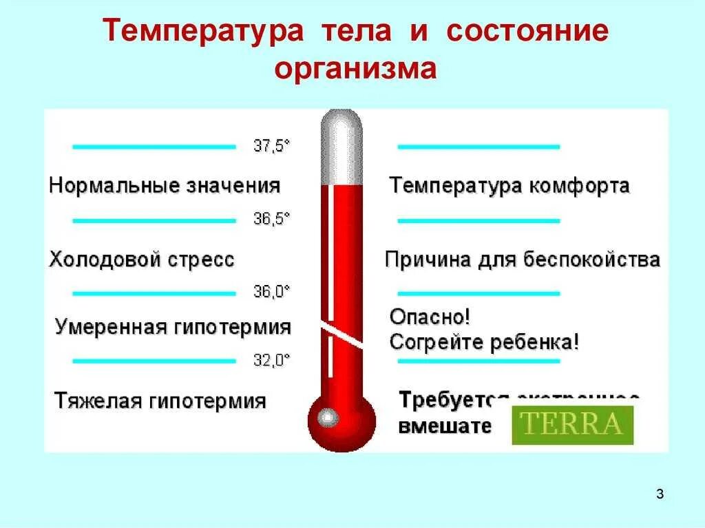 Повышенная температура несколько дней. Низкая температура тела. самая низкая температура здорового человека. причины температуры. плохая температура.