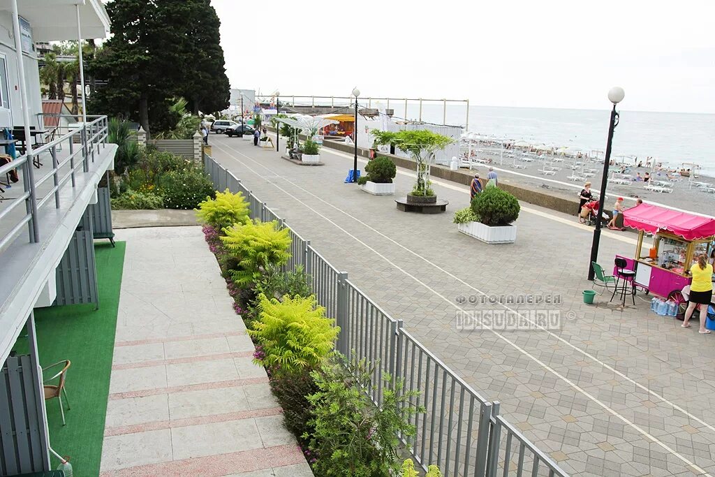 Пансионат золотой огонек сочи. Пансионат золотой огонек сочи. Золотой огонек адлер. Сочи гостиница золотой огонёк. Пансионат огонек адлер.