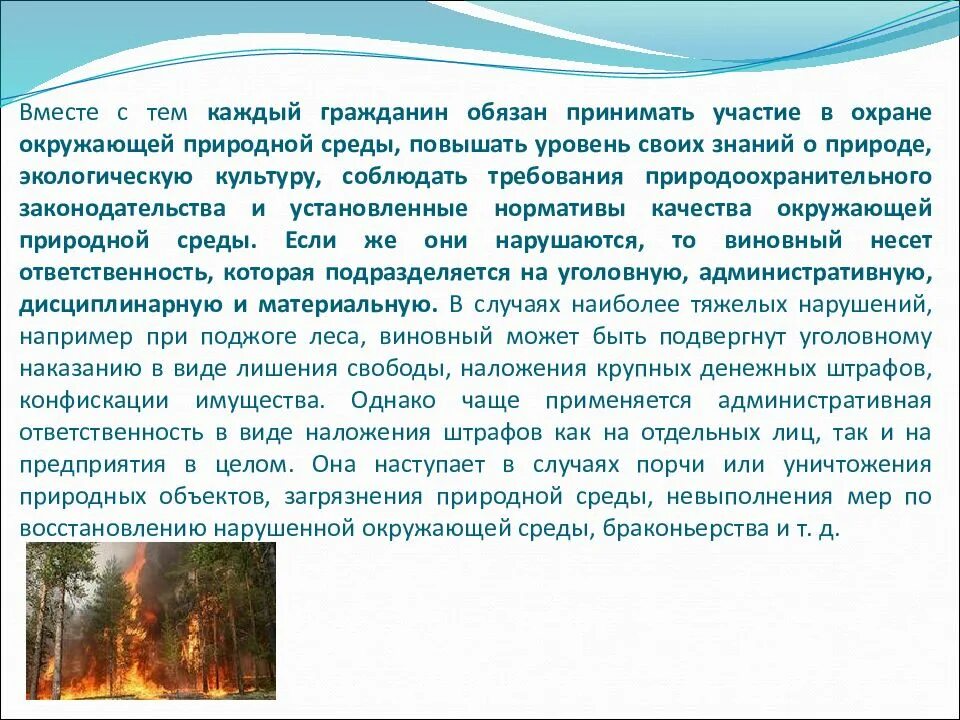 Охрана природы обязанность почему. Как а участвую в охране природы. Как мы можем участвовать в охране природы. Как мы можем участвовать в сохране природ. RFR vs VJ;TV exfdcndjdfnm d j[hfyt ghbhjlt.