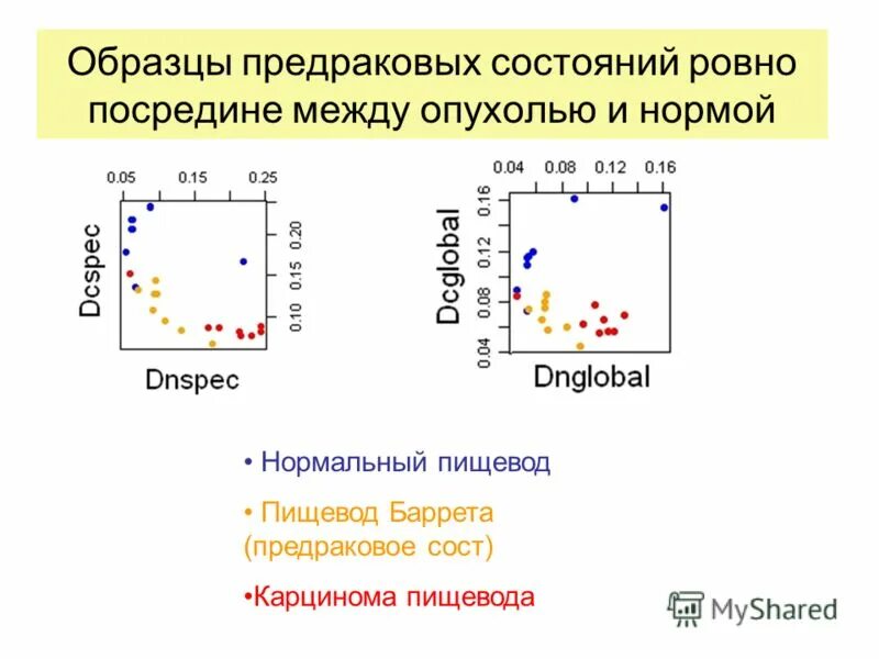 исследование состояния тканей