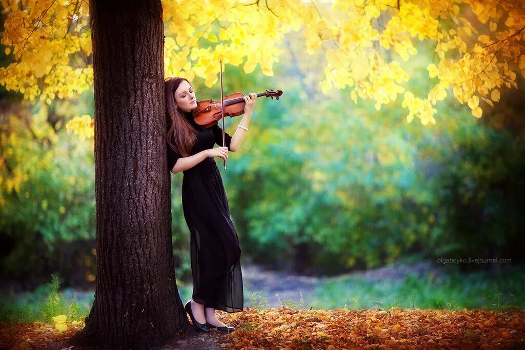 Песня женщина шла. Осенняя скрипка. Фотосессия со скрипкой. Фотосессия со скрипкой на природе. Девушки со скрипкой.
