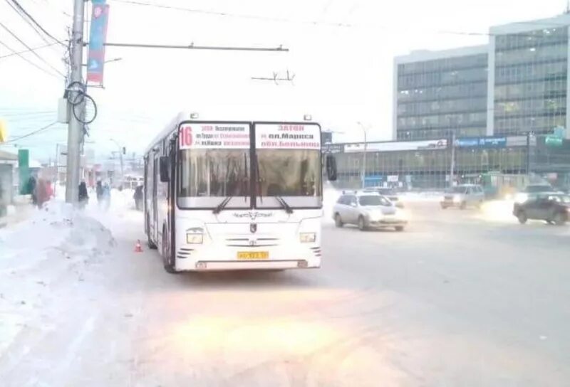 Рейсовый автобус новосибирск. СИБНИКМА Новосибирск. Автобус на ножках. Новосибирск автобусы фотографии. Автобус с ногами.