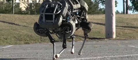 Legged robots