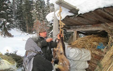 Заимка на урале новое видео последнее ютуб