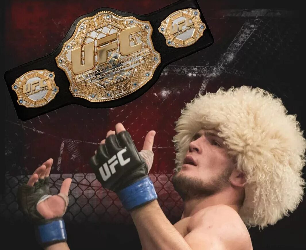 Весы хабиба нурмагомедова. Пояс юфс Хабиба Нурмагомедова. Пояс UFC Хабиба Нурмагомедова.