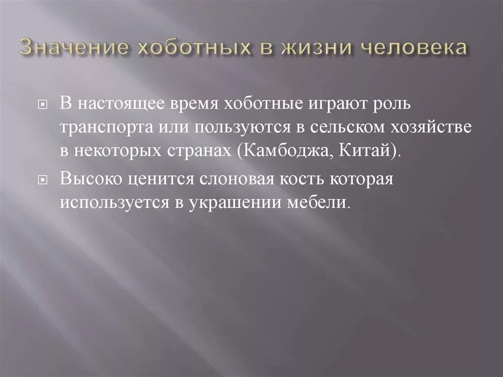 Что значит жизнь кратко. Хоботные роль в жизни человека. Значение хоботных в жизни человека. Роль в природе хоботных. Хоботные, их роли в жизни человека..