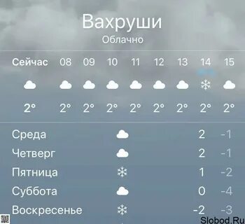Погода п осинки