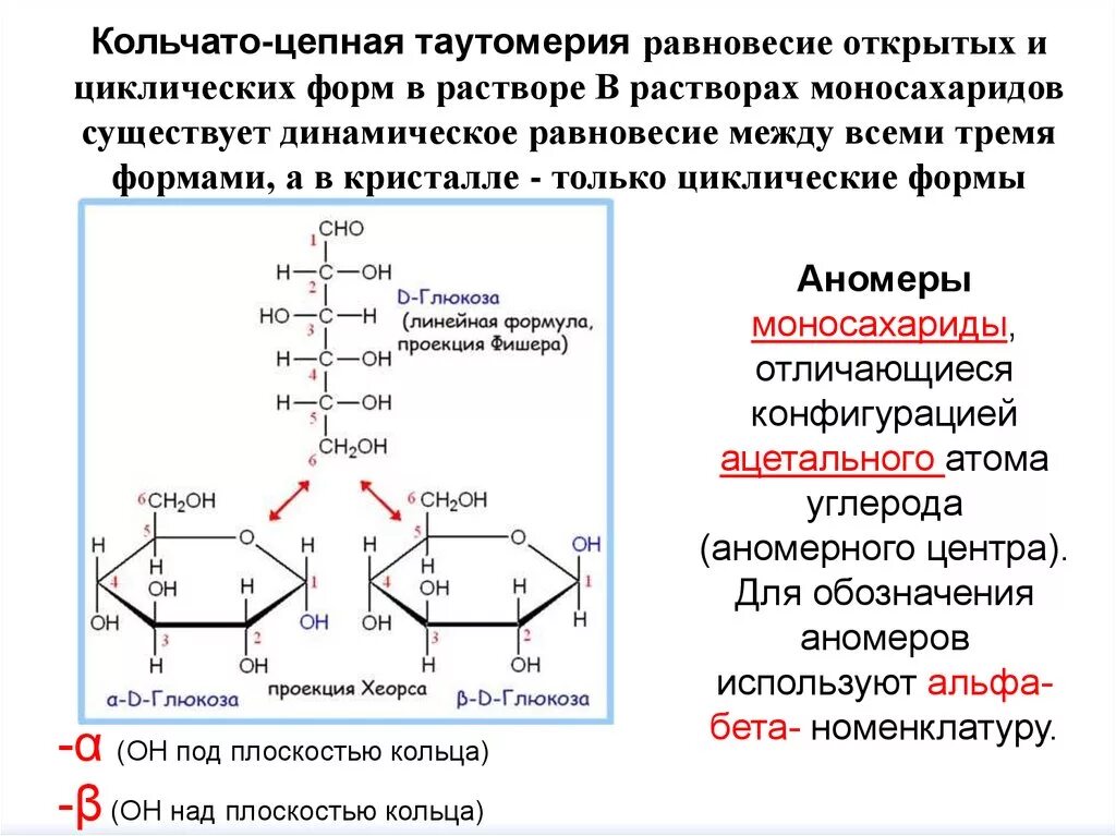 Кольчато-цепная таутомерия углеводов. Кольчато-цепная таутомерия d рибозы. Кольчато цепная таутомерия d Глюкозы. Цикло цепная таутомерия углеводов.