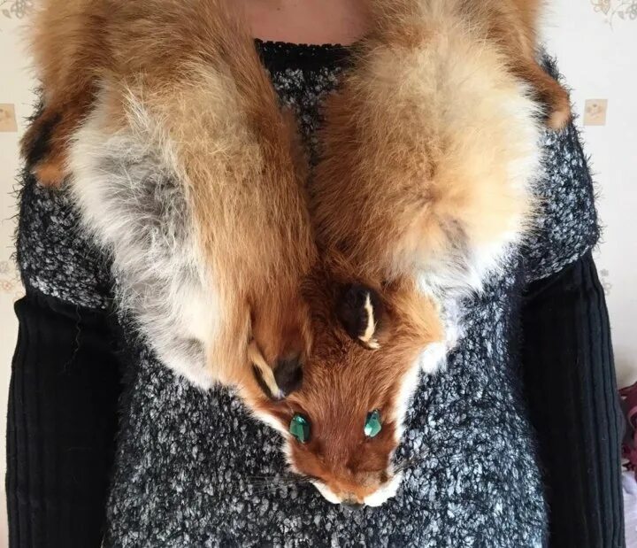 медвежий разряд прилагательного. переход имен прилагательных из одного разряда в другой. относительные прилагательные в значении качественных. собачья конура разряд прилагательного. волчья шкура разряд прилага.