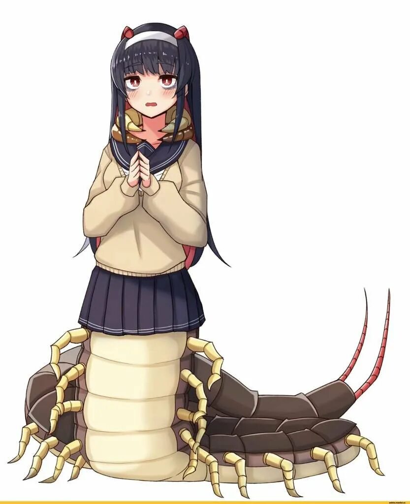 Эмукаэ каэдэ. Инсектоид богомол. Девушка сороконожка. Эмукаэ каэдэ сколопендра. Insect monster girl сколопендра.