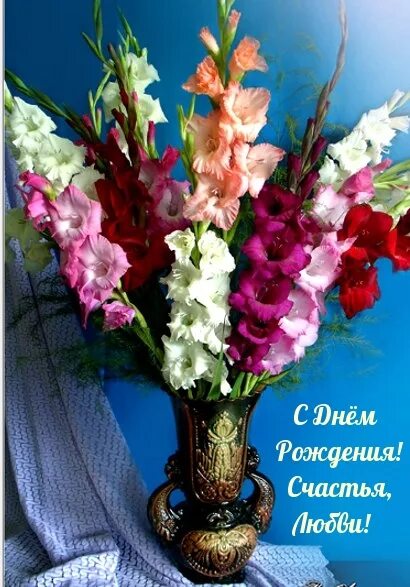 Цветы1 Цветок гладиолус, Доставка цветов, Похоронные цветы