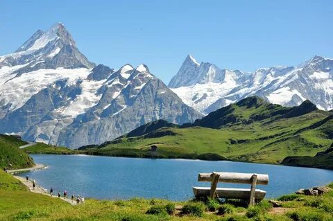 The alps