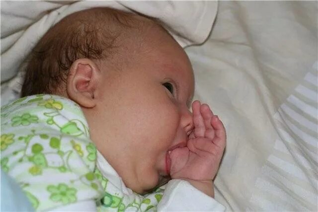 Почему новорожденный высовывает. Курносый нос у новорожденного. Сосание новорожденного ребенка.