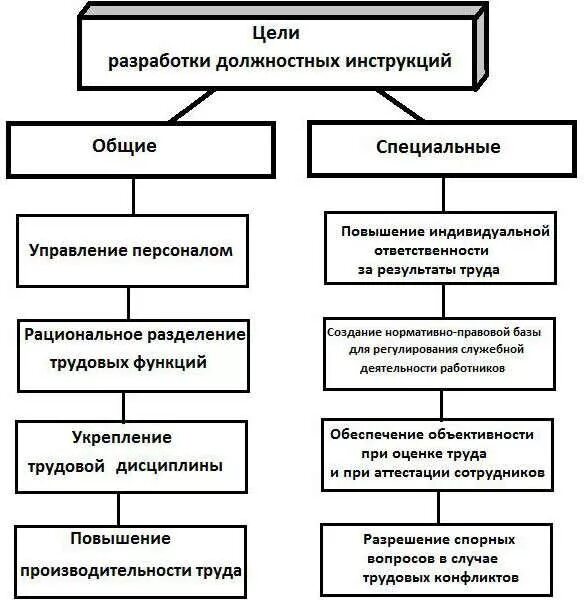 Разработка проекта должностной инструкции Документоведение и документационное обеспечение управления. Структура ООО ПКФ "П
