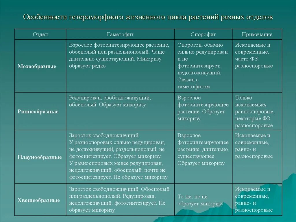 Цикл развития покрытосеменных растений схема. Циклы растений таблица. Хромосомный набор и происхождение клеток покрытосеменных. Цикл развития многоклеточных водорослей. Жизненный цикл мха кукушкин лен схема.
